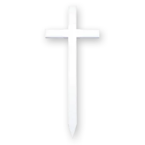 D S 10.webp