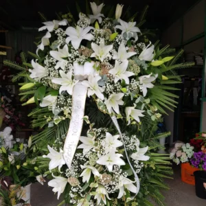 F RS 13.webp