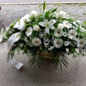 F RS 15.webp