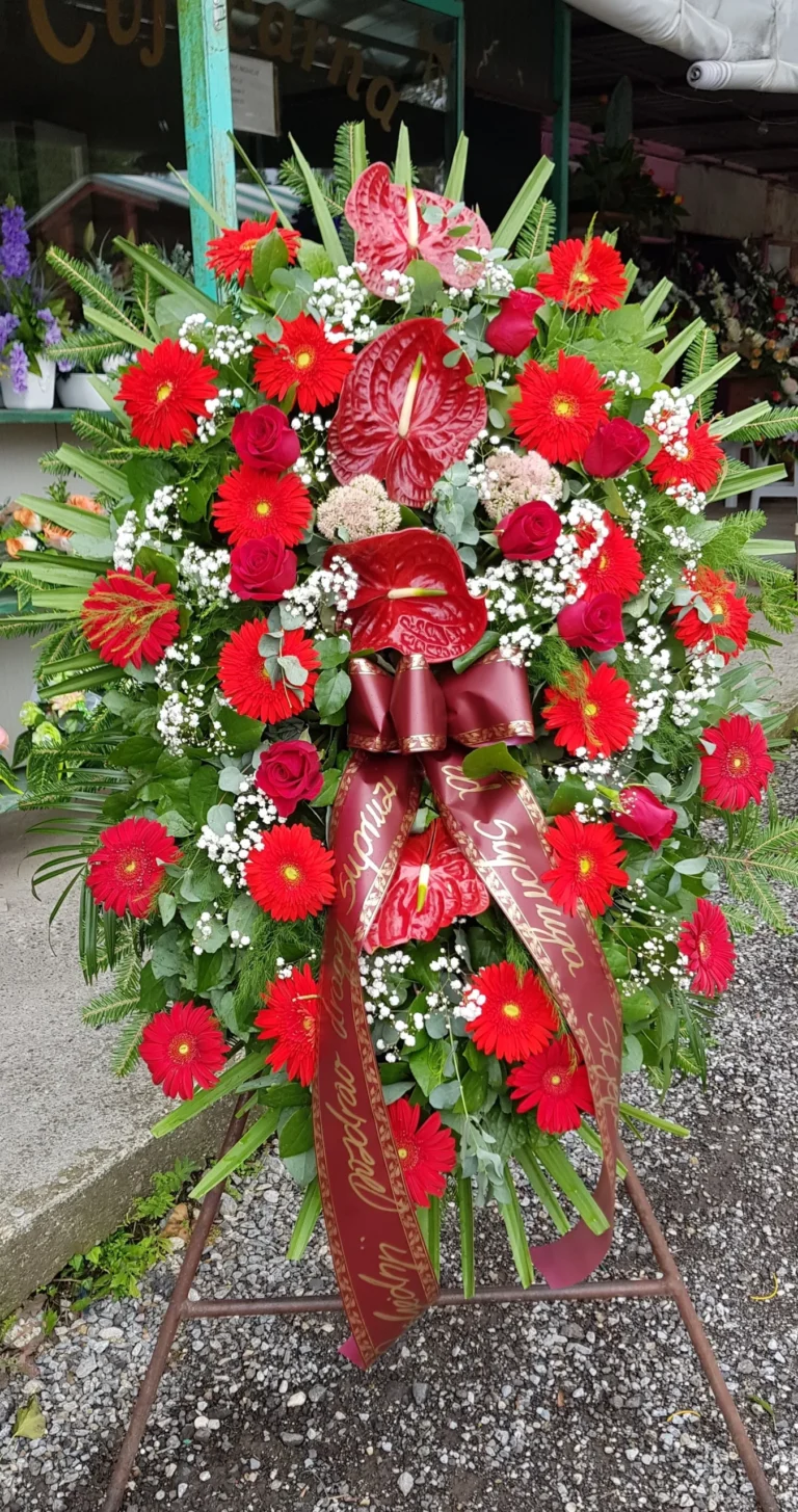 F RS 16 1 scaled 1.webp