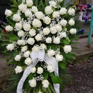 F RS 19.webp