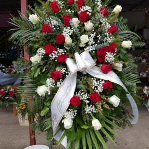 F RS 26.webp