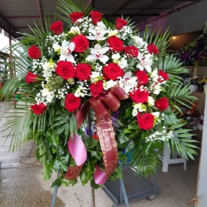 F RS 27.webp