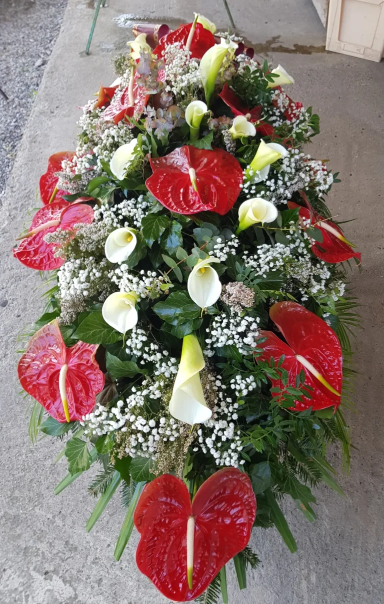 F RS 28 1 scaled 1.webp